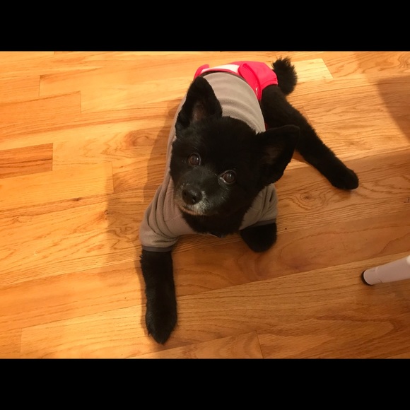 Meet your Posher, Lisa - Picture 1 of 1